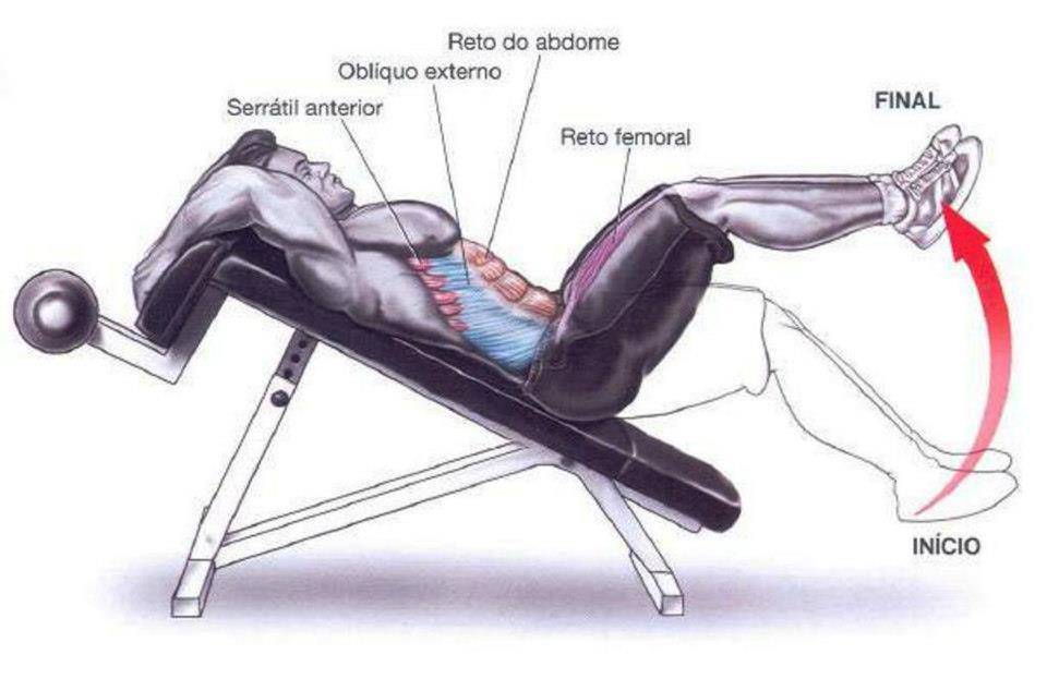 Упражнения на наклонной скамье для пресса на скамье: как правильно качать мышцы, техника выполнения | xn--90acxpqg.xn--p1ai