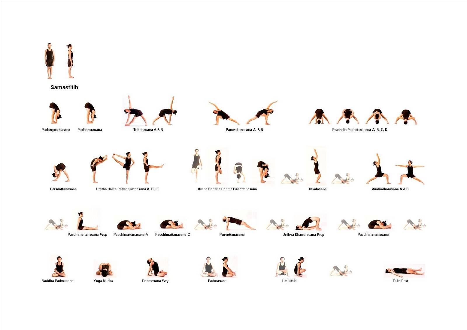 Хатха йога: особенности, отличия, польза, комплекс для начинающих