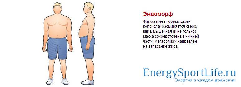 Кто такие эндоморфы? - sportfito — сайт о спорте и здоровом образе жизни
