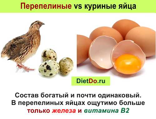 Яйца при повышенном холестерине в крови и атеросклерозе