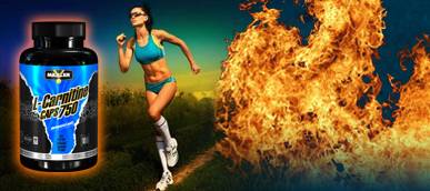 Какое спортивное питание для сжигания жира лучше: жиросжигатели, подавители аппетита, термодженики или заменители пищи