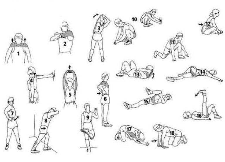 Растяжка всего тела: программа тренировок с упражнениями на гибкость и видеоуроки