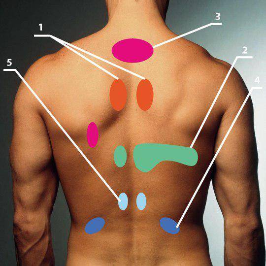 Боль под левой лопаткой сзади со спины - возможные причины и лечение!