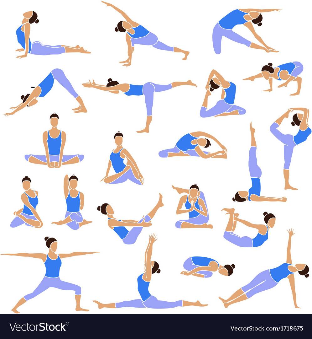 Хатха-йога для начинающих . первые позы и упражнения хатха-йоги в домашних условиях с видео-уроками