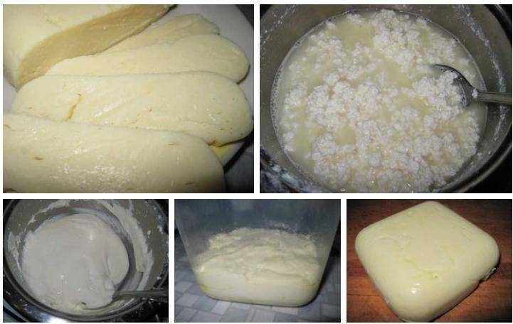Сыр из творога в домашних условиях - 8 рецептов приготовления домашнего сыра