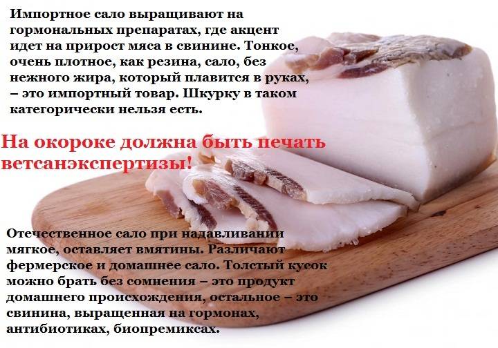 Полезно ли соленое свиное сало? полезное ли сало? :: syl.ru