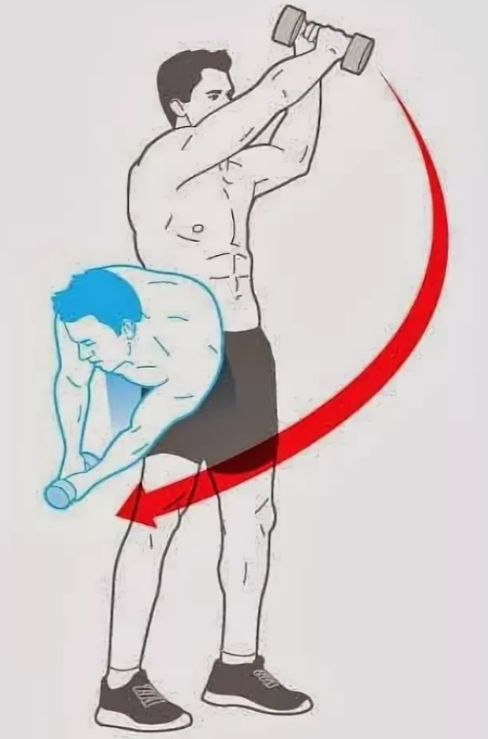 Программа тренировок с гантелями для мужчин