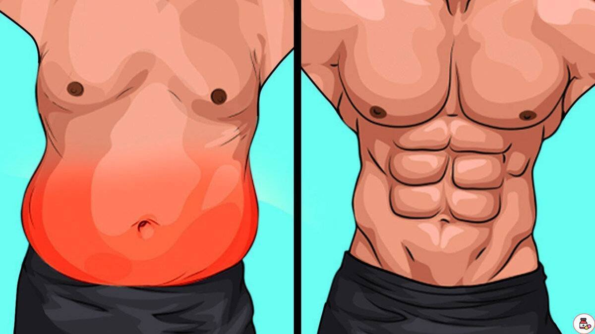 Можно ли жечь жир и растить мышцы одновременно?