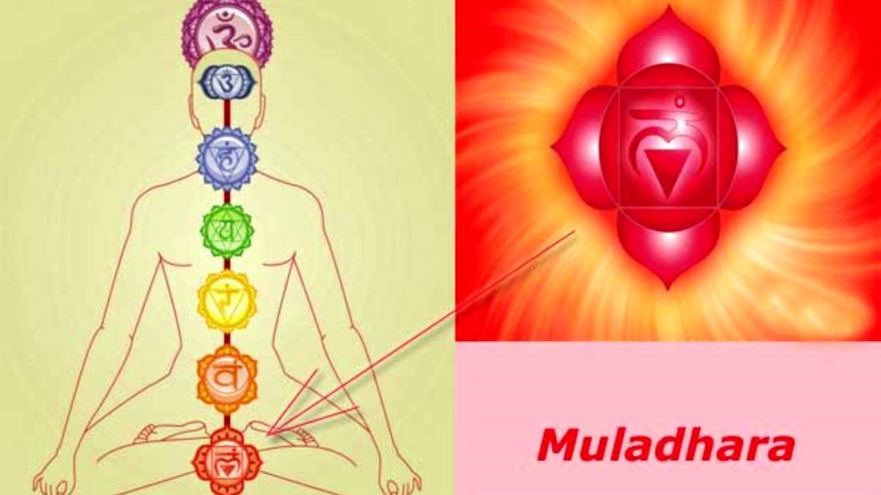 Медитация «раскрытие чакры муладхара» | практическая эзотерика