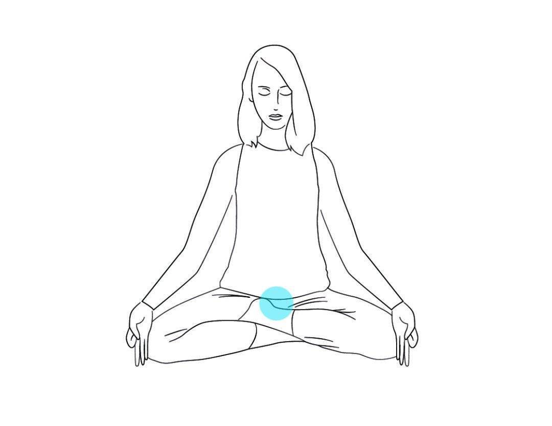 Мула-бандха-мудра. йога-терапия. новый взгляд на традиционную йога-терапию