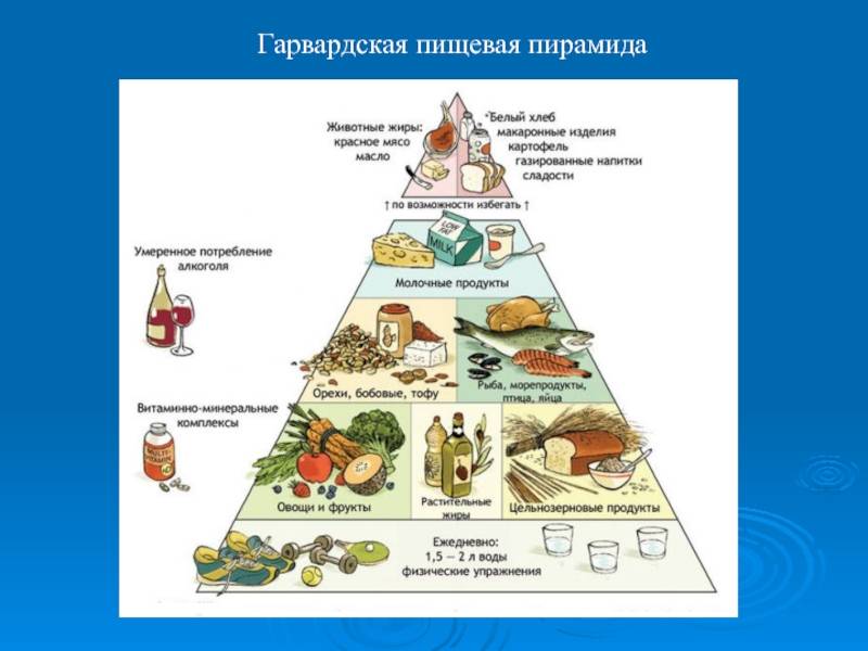 Рекомендации в области питания и пирамида питания