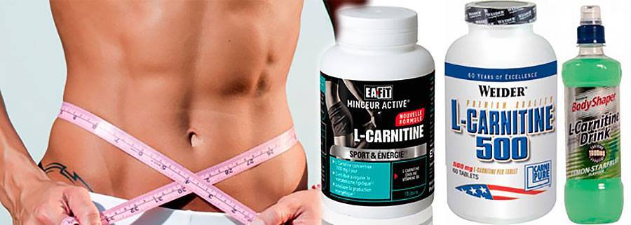 L-карнитин: что это такое и для чего он нужен при похудении, как он работает и на сколько эффективен для сжигания жира