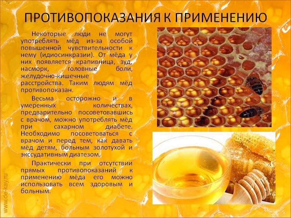 Мёд: польза и вред для организма человека