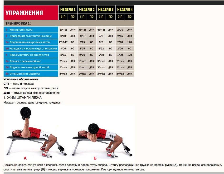 Программа тренировок на спину: готовый сплит на 7 дней + советы как накачать широкую спину (схемы и фото)