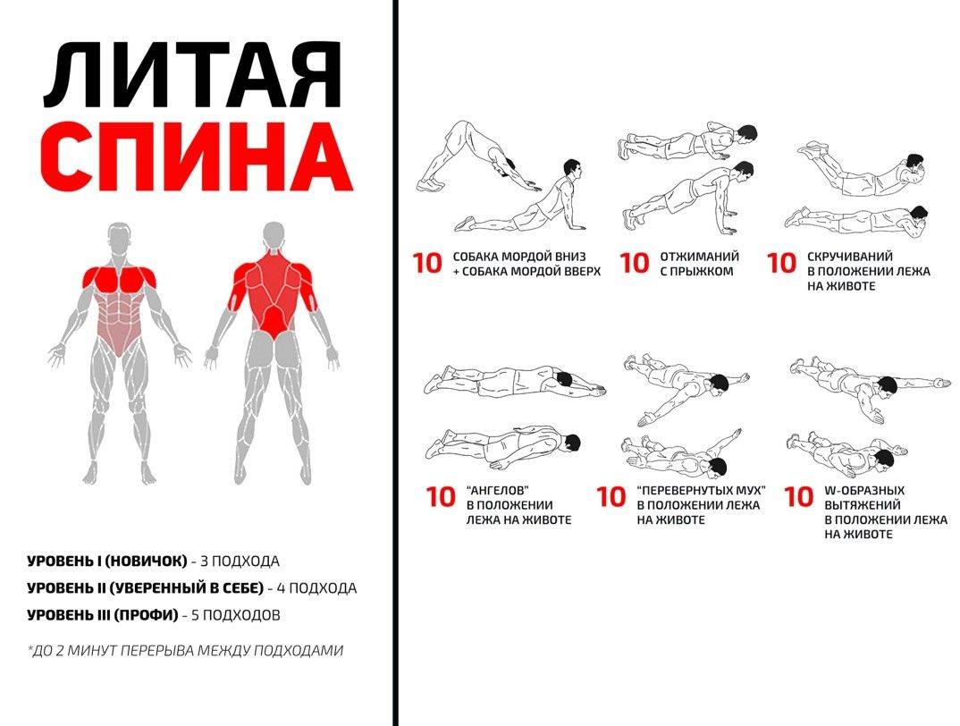 10 лучших упражнений для спины в тренажерном зале