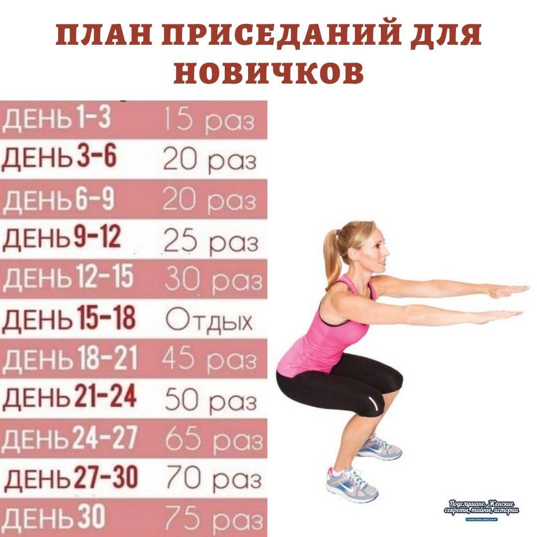 Схема приседаний на 30 дней для девушек: программа тренировок, комплекс упражнений для похудения | xn--90acxpqg.xn--p1ai