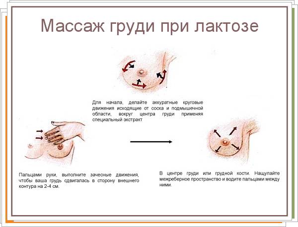 Как правильно делать массаж груди: польза и порядок действий | parnas42.ru