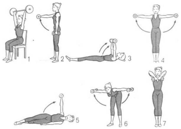 Как укрепить и подтянуть мышцы рук? простые упражнения для девушек