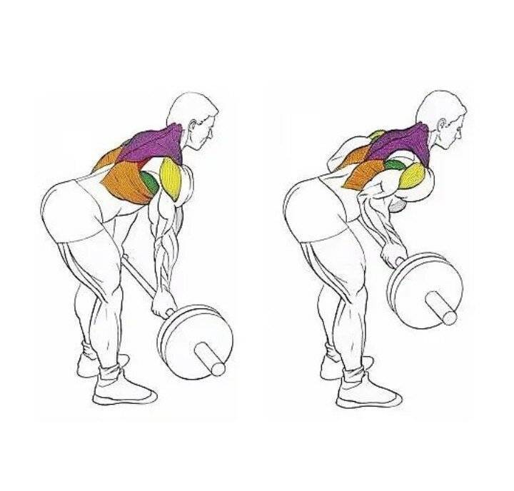 Тяга гантели к поясу в наклоне: базовое упражнение для роста спины