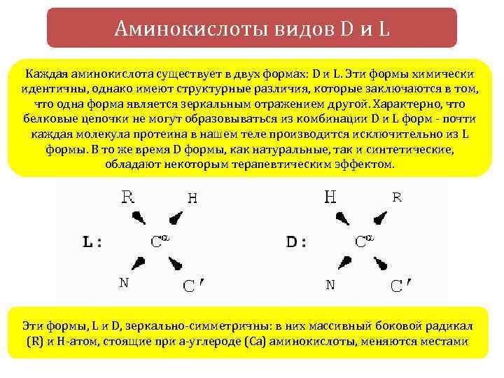 20 основных аминокислот с химическими формулами