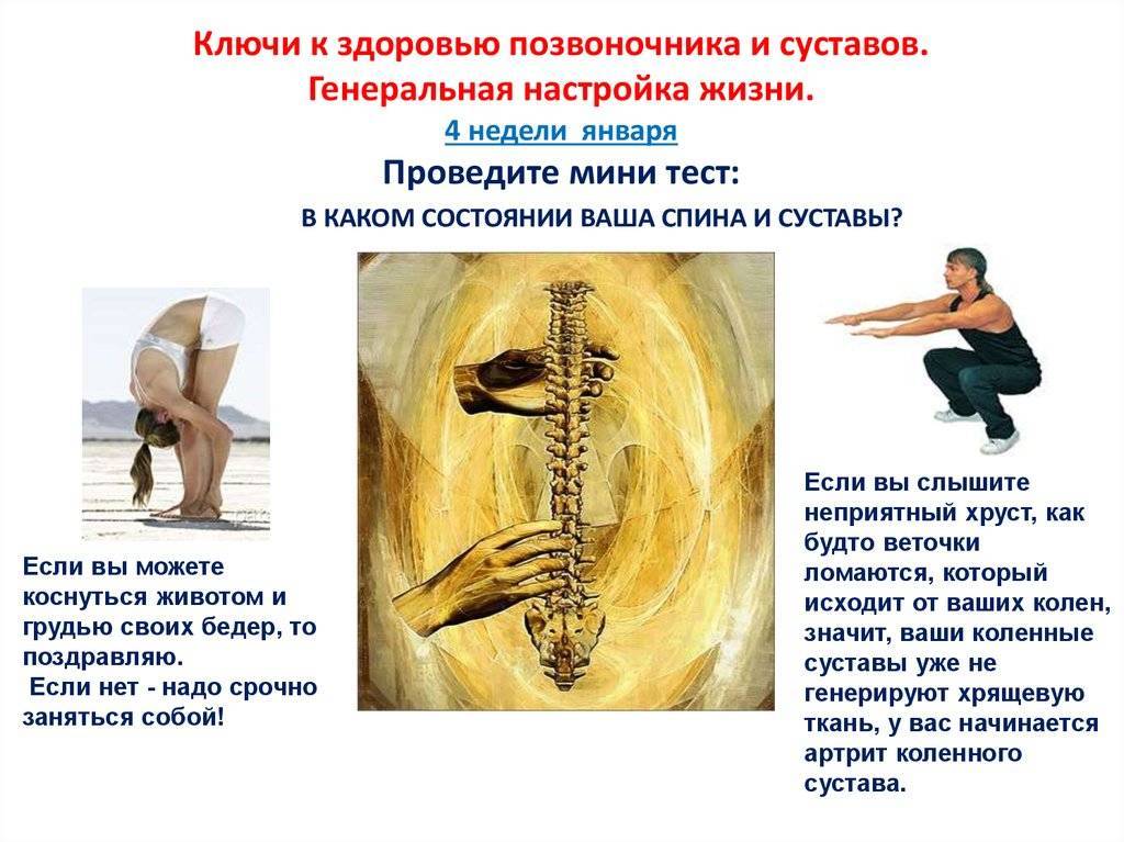 Свои суставы надо знать: гимнастика для здоровья «Нет боли»