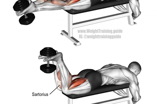 Как накачать мышцы бицепса бедра: тренировка и упражнения