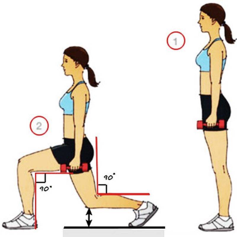 Приседания со штангой на плечах в положении «ножницы». физические упражнения для развития мышц задней поверхности бедра