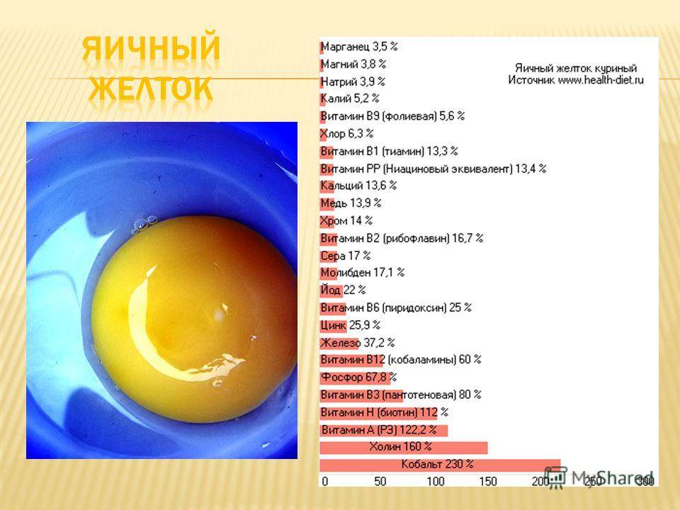 Куриные яйца польза и вред сколько можно съесть в день