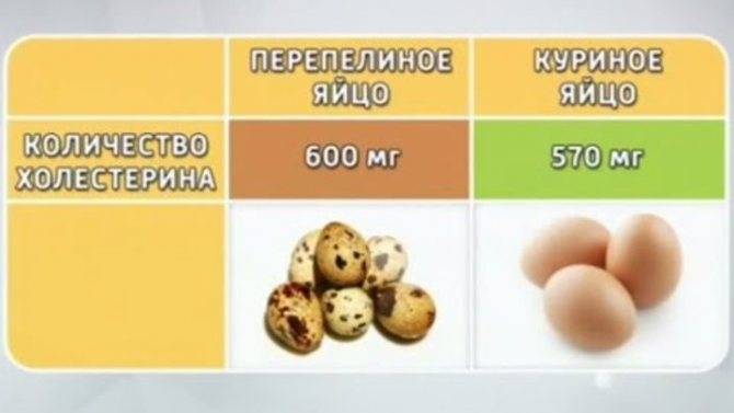 Таблица содержания холестерина в продуктах питания. холестерин плохой и хороший.  |  как похудеть правильно. метаболический метод сергеева