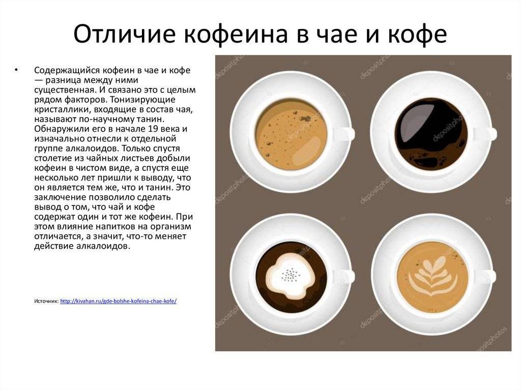 Что полезнее - чай или кофе - особенности, свойства и рекомендации :: syl.ru