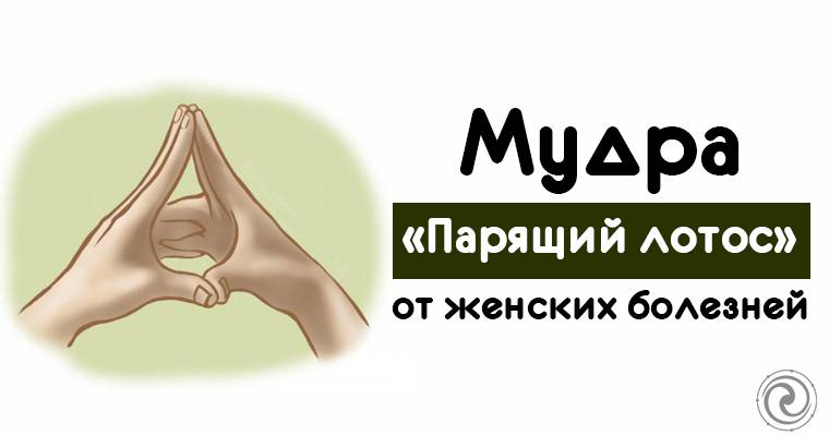7 сакральных буддистских мудр, которые непонятно как, но решают все проблемы | айдамы