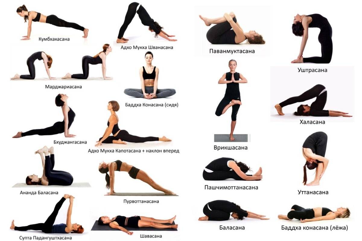Топ основных поз йоги с подробной техникой выполнения асан, польза и противопоказания базовых упражнений