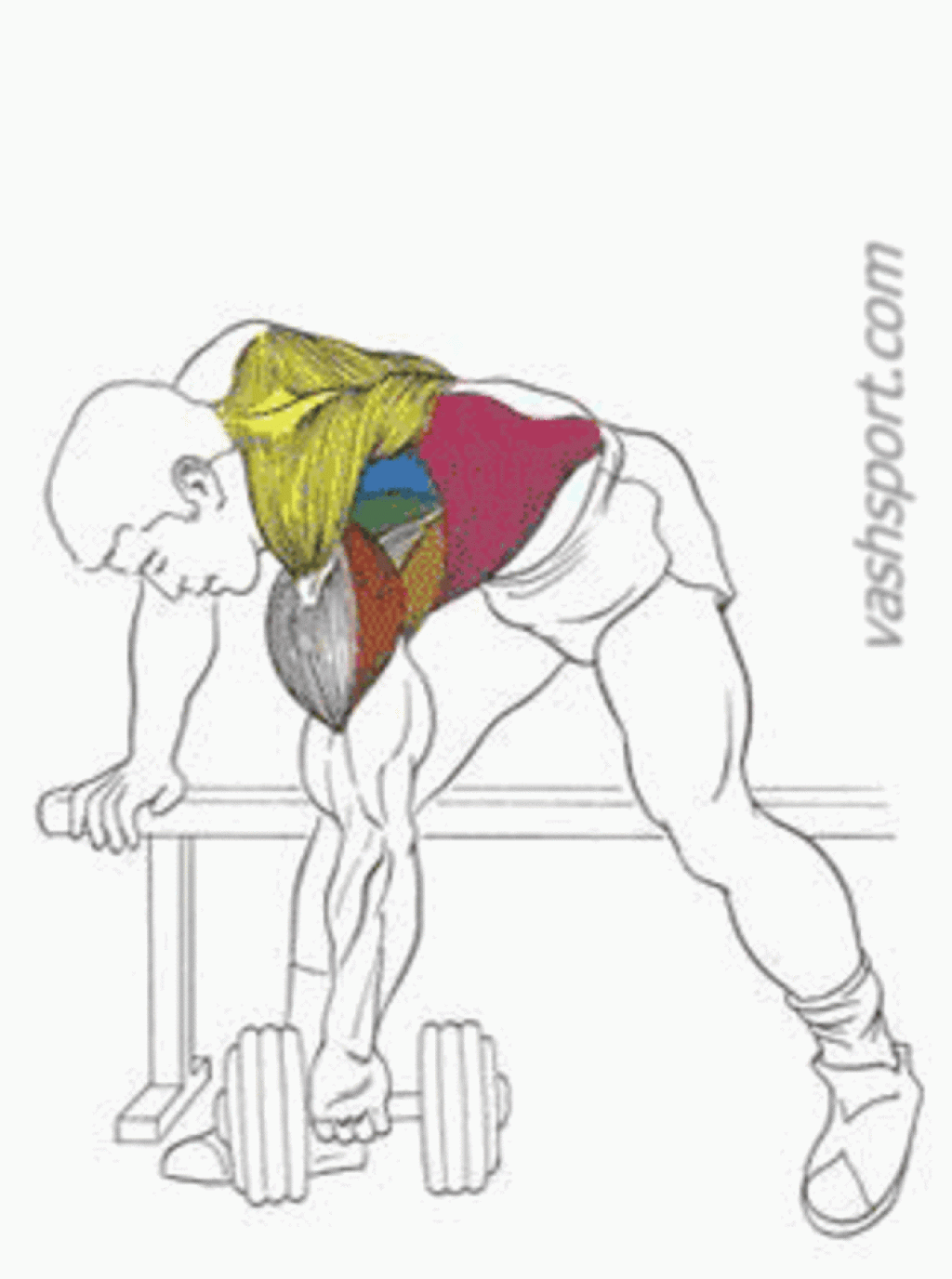 Как накачать спину: упражнения, программа тренировок накачать мышцы спины