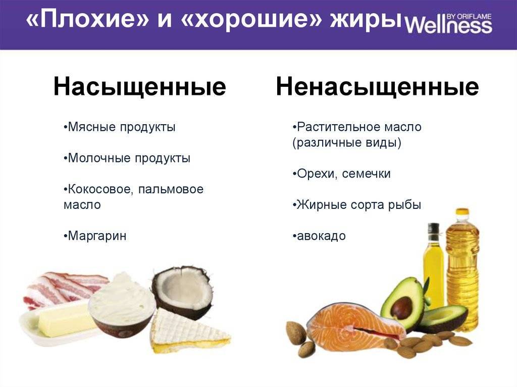 Жир — состав, свойства и роль в диете | университетская клиника