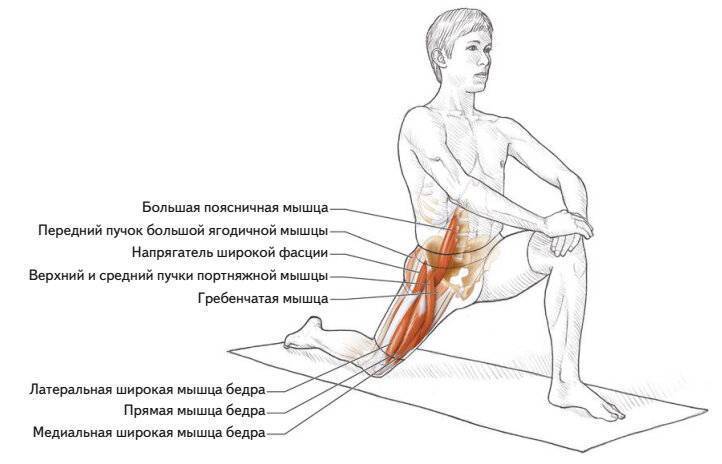 Растяжение мышц спины, бедра, плеча, живота, паха, ног и рук. диагностика и лечение растяжения всех видов мышц в клинике цэлт.