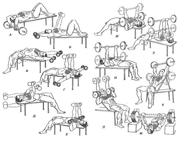 Упражнения для грудных мышц мужчинам в тренажерном зале: как накачать грудь в спортзале