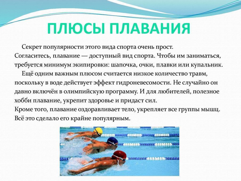 ✅ какие мышцы нужно качать чтобы быстро плавать. бассейн как средство для укрепления мышц - sundaria.su