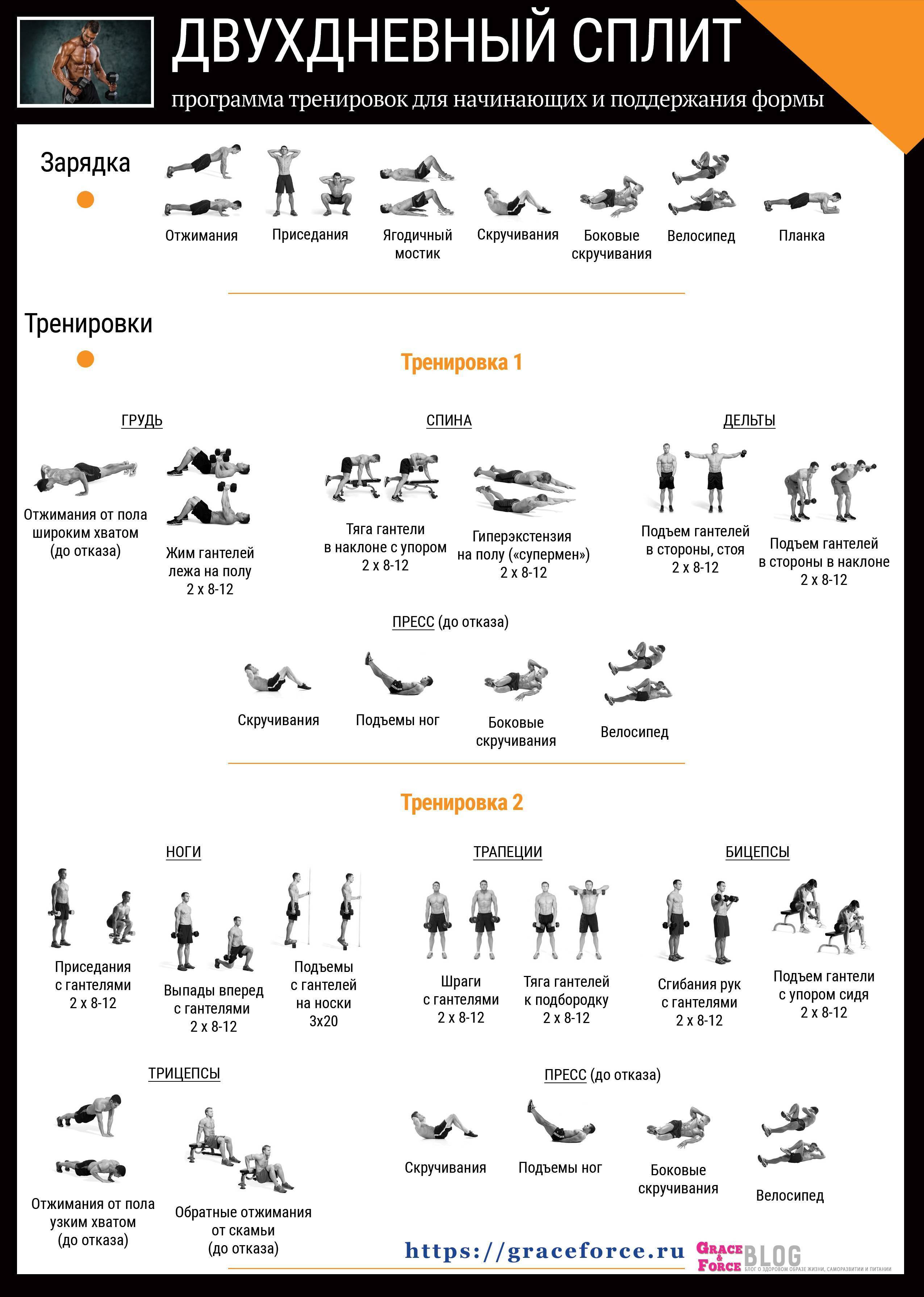 Программа тренировок для набора мышечной массы 3 раза в неделю: трехдневные комплексы базовых упражнений для рельефа на все группы мышц для мужчин и женщин, новичков