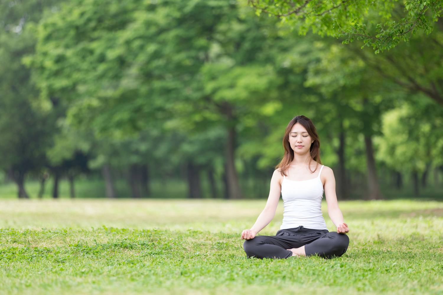 Медитация дома: советы для начинающих » университет mindvalley
