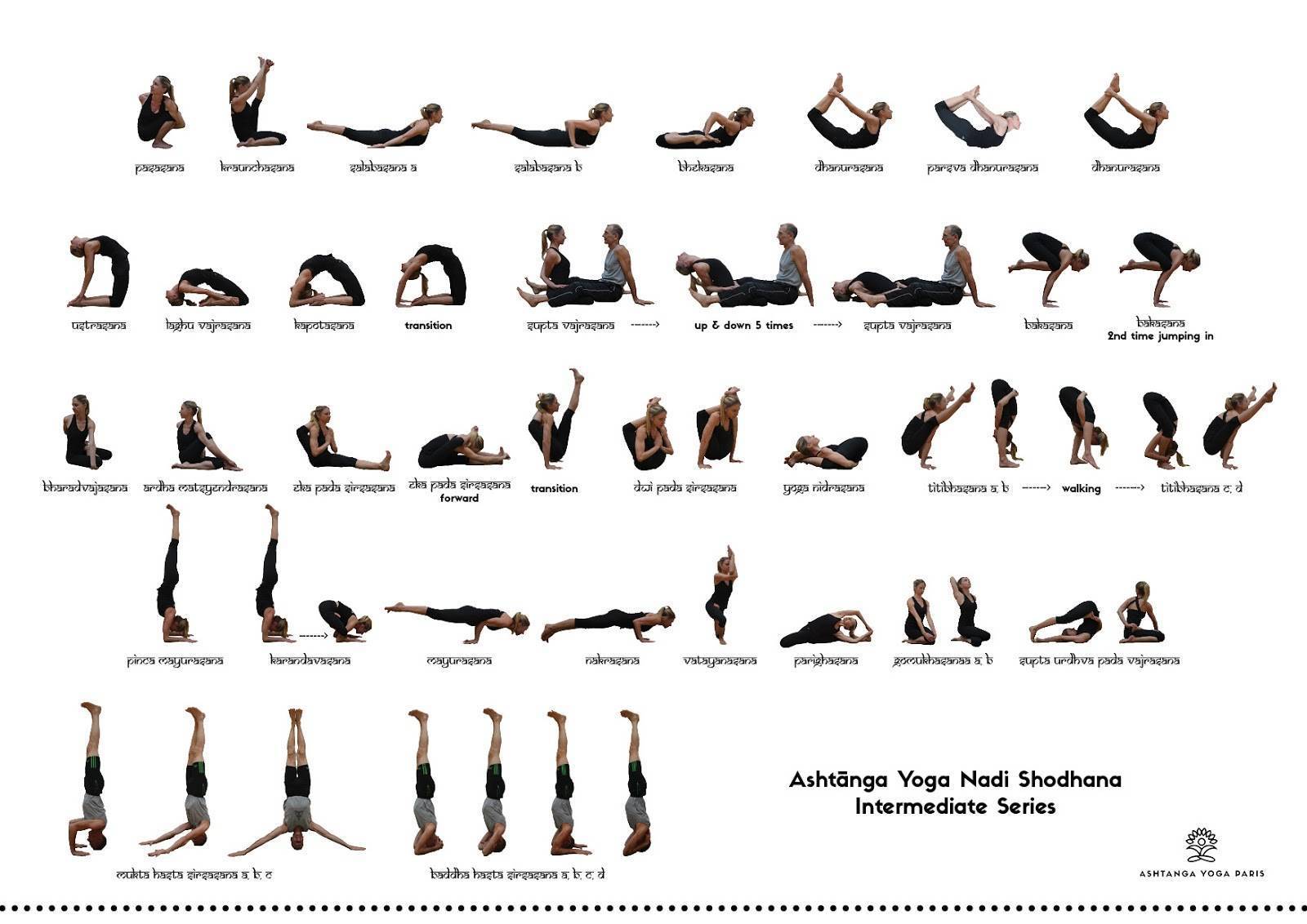 Аштанга-виньяса йога для начинающих, видео уроки | yogamaniya