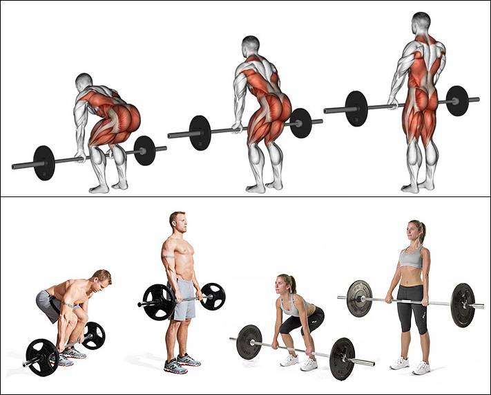Становая тяга: составление программы тренировки по увеличению веса, развитию силы, массы