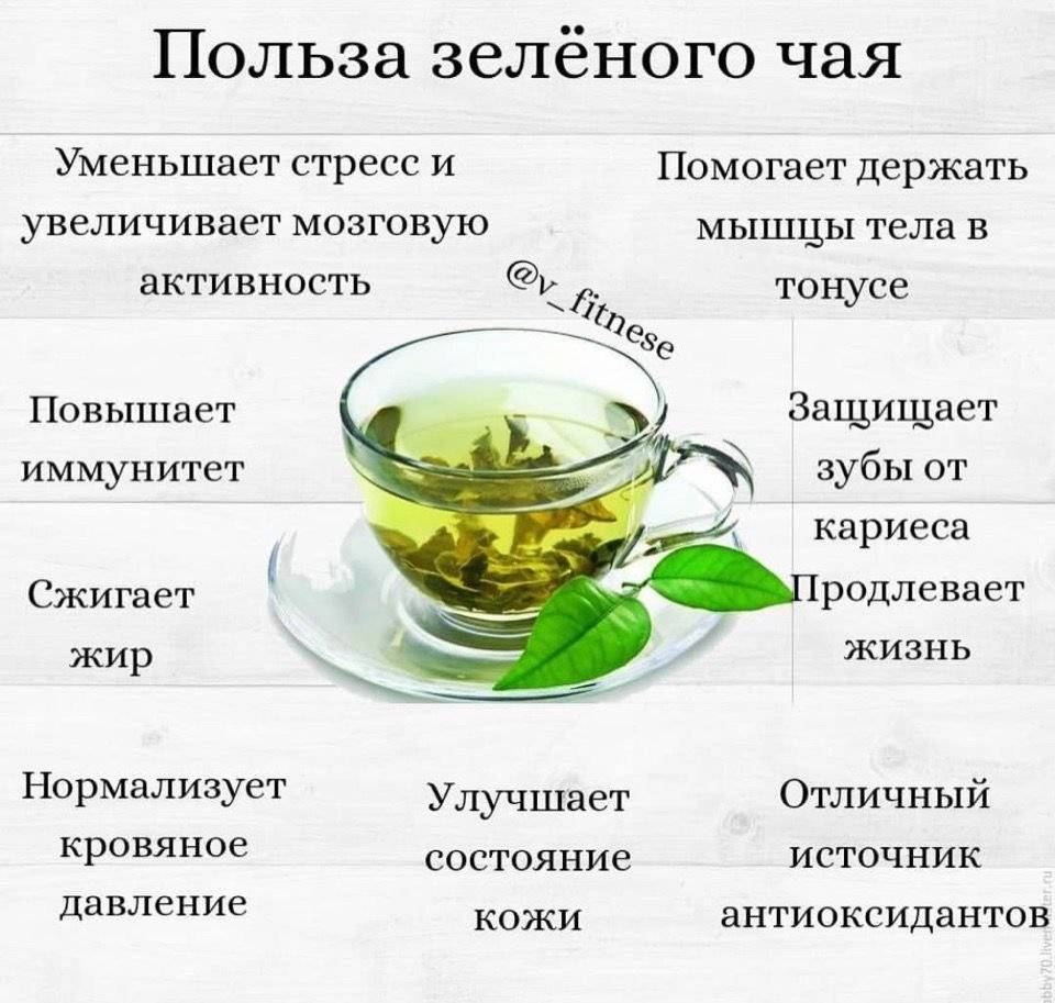 Зеленый чай: мифы о пользе употребления напитка для организма мужчин и женщин - есть ли смысл пить для здоровья?