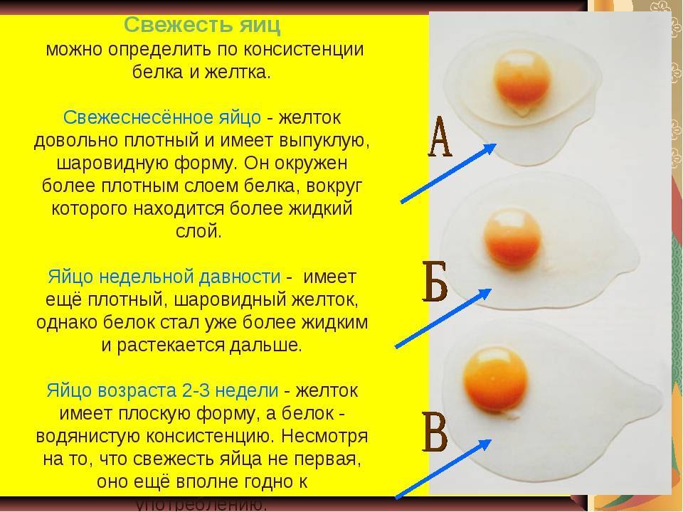 Яйца в бодибилдинге. польза и вред яиц