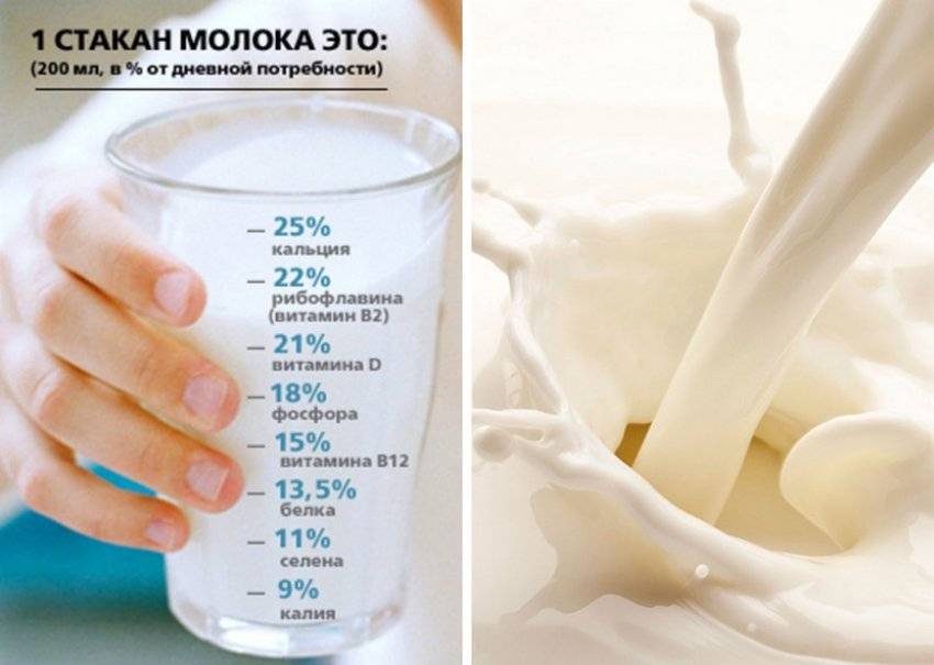 Можно ли пить молоко и есть творог при похудении: молочка и кефир на диете. отеки: задерживают ли молочные продукты воду в организме?