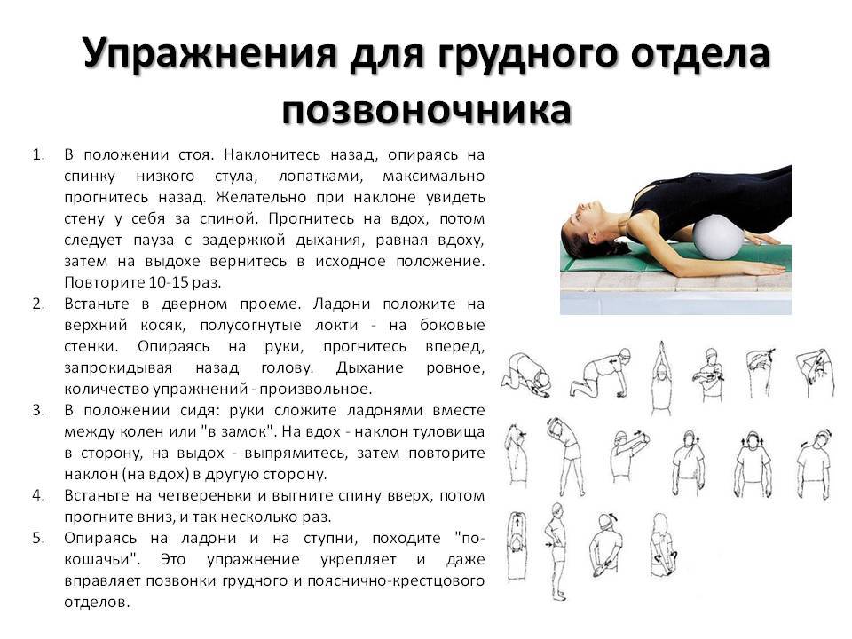 Гимнастика и упражнения при остеохондрозе шейного, грудного и поясничного отделов позвоночника | азбука здоровья