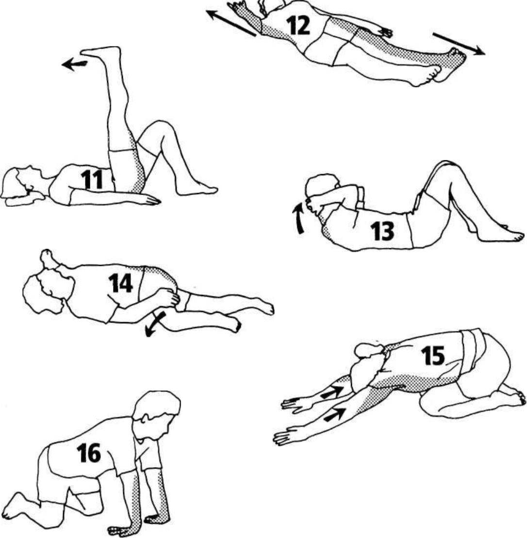 Упражнения "крокодил" для позвоночника в домашних условиях: комплекс упражнений йога, лучшая гимнастика и зарядка в картинках