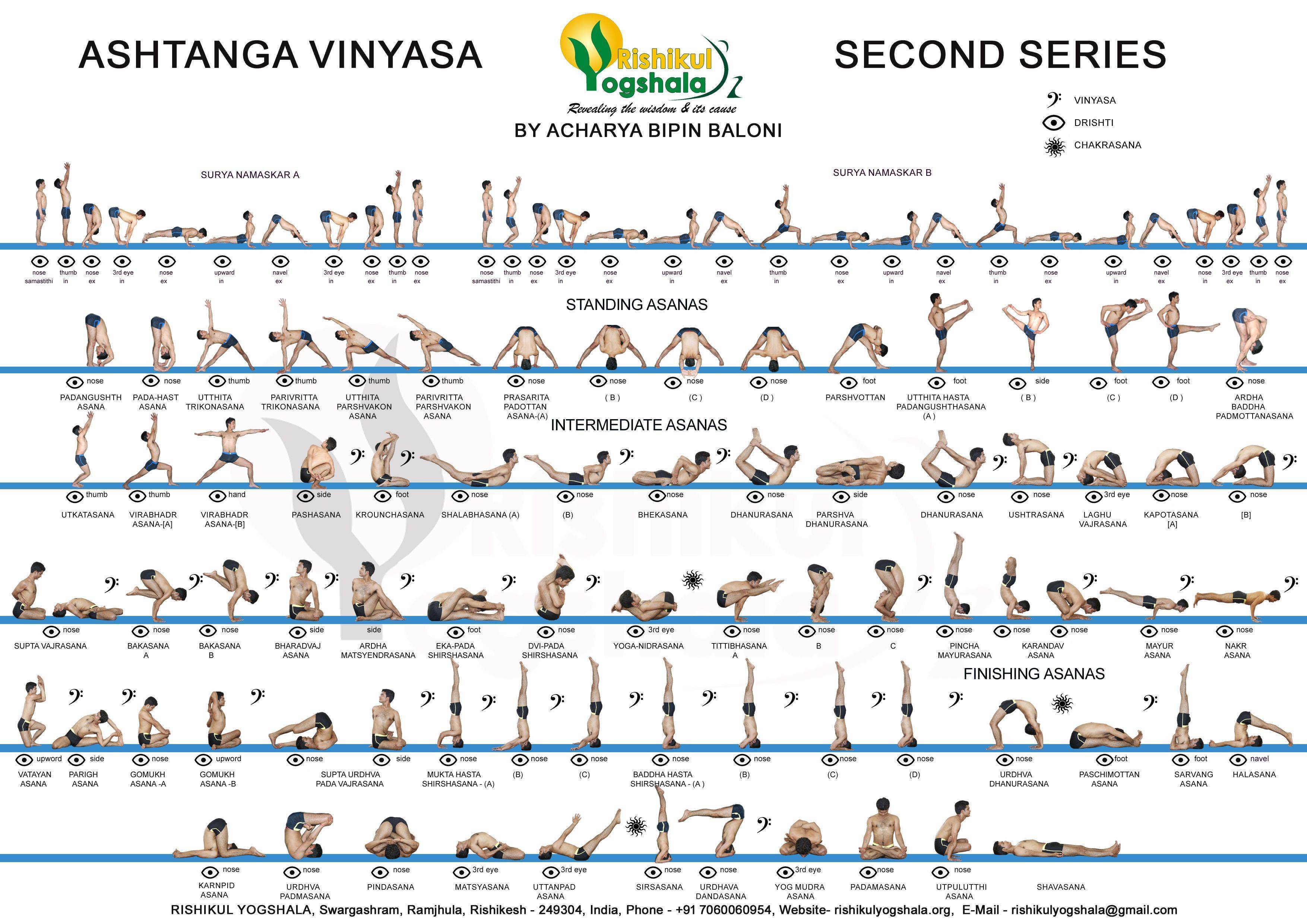 Виньяса-йога для начинающих: пошаговые видео уроки для занятий на дому - все курсы онлайн