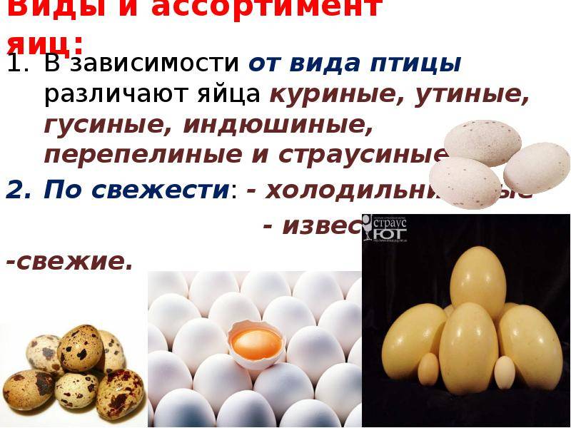 Холестерин в куриных яйцах: сколько содержится (новые научные исследования), повышают ли уровень