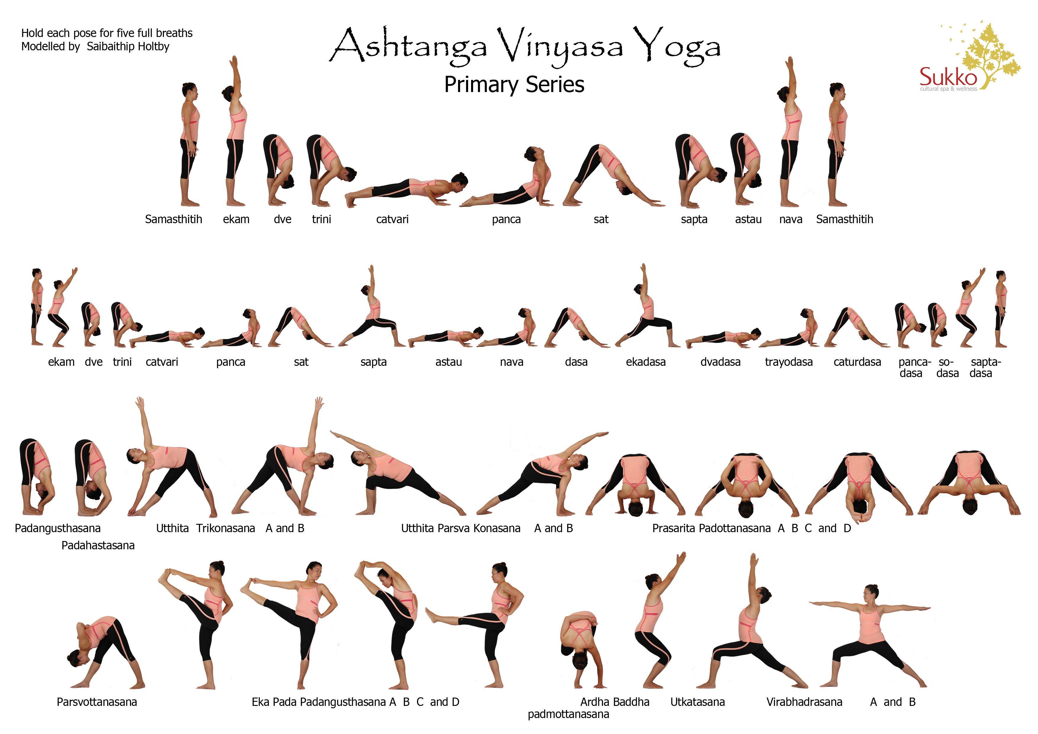 Аштанга йога: что это такое и упражнения для начинающих, последовательность асан