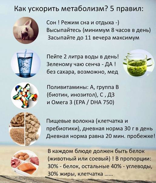 Топ 5 продуктов, замедляющих метаболизм * клиника диана в санкт-петербурге